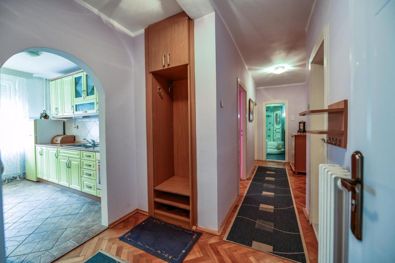 Lux Cvetkovic Apartment